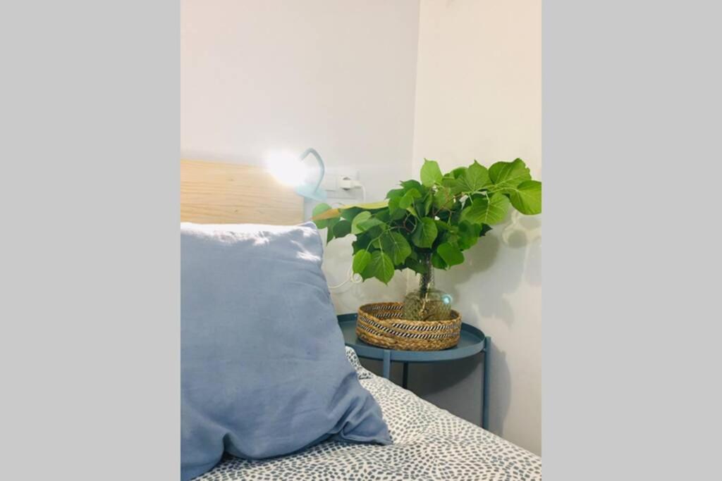 Apartamento Centro Catedral Botanico Appartement Granada Buitenkant foto